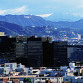 Mountain Backdrop